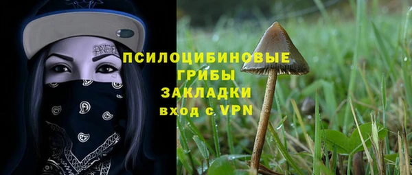 прущая мука Алексин