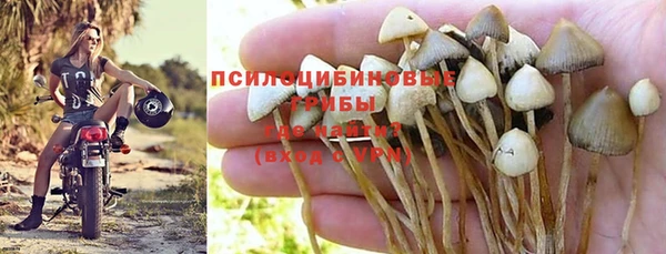 МДПВ Алексеевка