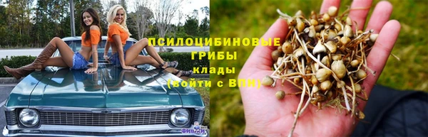 МДПВ Алексеевка