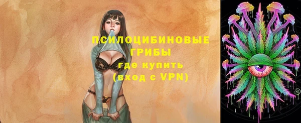 прущая мука Алексин