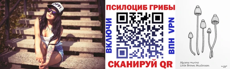 Галлюциногенные грибы ЛСД  Наволоки 